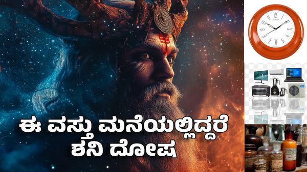 Shani Amavasya 2025: ಅಮಾವಾಸ್ಯೆಯಂದು ಈ 7 ವಸ್ತುಗಳು ಮನೆಯಲ್ಲಿದ್ದರೆ ಶನಿ ದೋಷ ಖಚಿತ