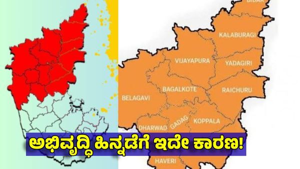 'ಉತ್ತರ ಕರ್ನಾಟಕ'ದಂತಹ ಭ್ರಷ್ಟ, ಸ್ವಾರ್ಥ ರಾಜಕಾರಣಿಗಳು ಎಲ್ಲೂ ಇಲ್ಲ: Bhaskar Rao