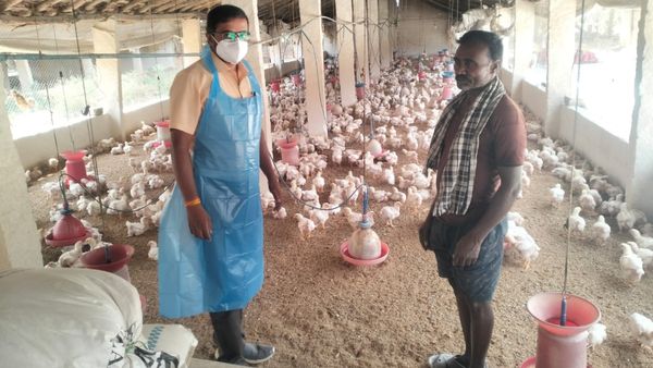 Bird Flu: ಹಕ್ಕಿಜ್ವರ ತಡೆಗೆ ಮೈಸೂರು ಗಡಿಯಲ್ಲಿ ತೀವ್ರ ಕಟ್ಟೆಚ್ಚರ