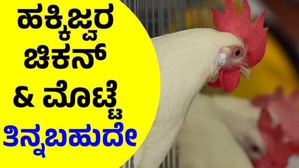 Chicken: ಹಕ್ಕಿಜ್ವರ ಆತಂಕ: ಚಿಕನ್‌ - ಮೊಟ್ಟೆ ತಿನ್ನಬಹುದೇ, ಮುಂಜಾಗ್ರತಾ ಕ್ರಮವೇನು ?