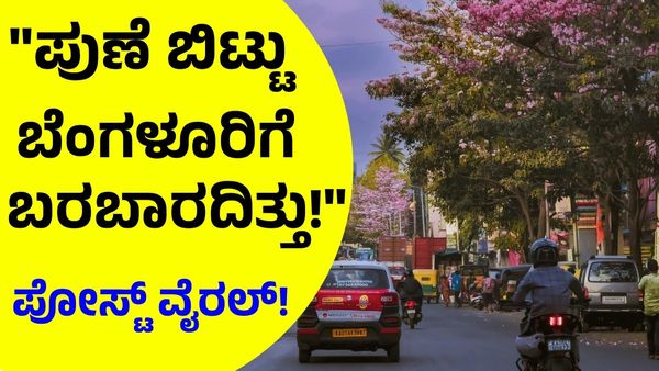 ಬೆಂಗಳೂರಿನಲ್ಲಿ ಏನಿಲ್ಲ, ಪುಣೆ ಬಿಟ್ಟು ತಪ್ಪು ಮಾಡಿದೆ: ಐಟಿ ಉದ್ಯೋಗಿ ಪೋಸ್ಟ್‌ ವೈರಲ್, ಕನ್ನಡಿಗರ ವಿರೋಧ!