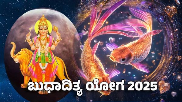 Budhaditya Yoga 2025: ಬುಧಾದಿತ್ಯ ಯೋಗ- ಈ ರಾಶಿಗೆ ಸೂರ್ಯ ದೇವನ ಅನುಗ್ರಹದಿಂದ ಎಲ್ಲವೂ ಸುಲಭ