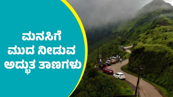 Chikkamagaluru Travel: ಚಿಕ್ಕಮಗಳೂರು ಜಿಲ್ಲೆಯಲ್ಲಿವೆ ಮನಸಿಗೆ ಮುದ ನೀಡುವ ಅದ್ಭುತ ತಾಣಗಳು