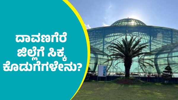 ರಾಜ್ಯ ಬಜೆಟ್‌ನಲ್ಲಿ ಬೆಣ್ಣೆನಗರಿ ದಾವಣಗೆರೆ ಜಿಲ್ಲೆಗೆ ಸಿಕ್ಕ ಕೊಡುಗೆಗಳೇನು?