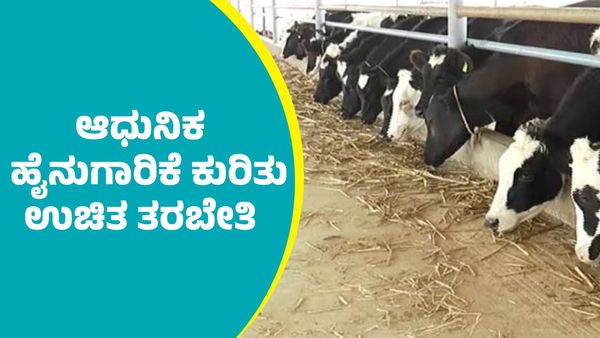 ದಾವಣಗೆರೆಯಲ್ಲಿ ರೈತರಿಗೆ ಆಧುನಿಕ ಹೈನುಗಾರಿಕೆ ಕುರಿತು ಉಚಿತ ತರಬೇತಿ ಕಾರ್ಯಕ್ರಮ: ಮಾಹಿತಿ ಇಲ್ಲಿದೆ