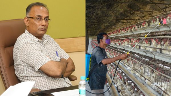 Bird Flu: ಹೀಗೆ ಮಾಡಿದ್ರೆ ಹಕ್ಕಿ ಜ್ವರ ಬರಲ್ಲ: ಮಹತ್ವದ ಟಿಪ್ಸ್‌ ಕೊಟ್ಟ ಆರೋಗ್ಯ ಸಚಿವ