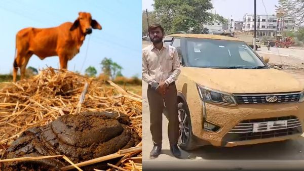 Cow Dung: ದುಬಾರಿ ಕಾರಿಗೆ ಸಗಣಿ ಕೋಟಿಂಗ್‌ ಮಾಡಿಸಿದ ಡಾಕ್ಟರ್‌, ಕಾರಣ ಕೇಳಿ ಎಲ್ರೂ ಶಾಕ್‌