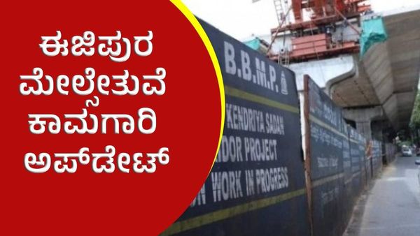 Ejipura Flyover: ರಾಮಲಿಂಗಾ ರೆಡ್ಡಿ ನಿರ್ದೇಶನ ಮೇರೆಗೆ ಬಿಬಿಎಂಪಿ ಮಹತ್ವದ ಆದೇಶ