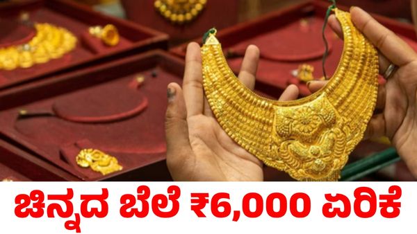 Gold Rate: ಒಂದೇ ದಿನ ₹6000 ಏರಿಕೆ ಕಂಡ ಚಿನ್ನದ ಬೆಲೆ; ಬೆಳ್ಳಿ ಬೆಲೆ ಎಷ್ಟಿದೆ?