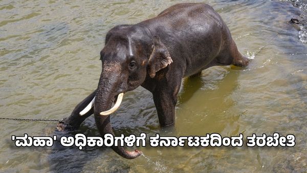 ಗಡಿ ಭಾಷೆ ವಿಚಾರದಲ್ಲಿ ಕಿರಿಕ್: 'ಮಹಾ' ಅಧಿಕಾರಿಗಳಿಗೆ ಕರ್ನಾಟಕದಿಂದ ತರಬೇತಿ