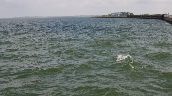 KRS Dam: ಕೆಆರ್‌ಎಸ್‌ನಿಂದ ವ್ಯರ್ಥವಾಗಿ ನದಿಗೆ ಹರಿದ ಸಾವಿರಾರು ಕ್ಯೂಸೆಕ್ ನೀರು