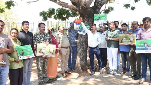 World Sparrow Day: ಮೈಸೂರಿನಲ್ಲಿ ವಿಶಿಷ್ಟ ರೀತಿಯಲ್ಲಿ ಗುಬ್ಬಚ್ಚಿ ಹಬ್ಬ ಆಚರಣೆ