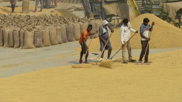 ಸಾವಯವ ಭತ್ತಕ್ಕೆ ಹೆಚ್ಚುತ್ತಿದೆ ಬೇಡಿಕೆ, ಮಾರುಕಟ್ಟೆ ವ್ಯವಸ್ಥೆ