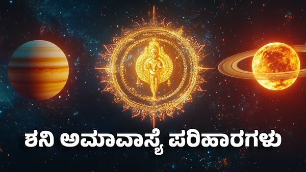 Shani Amavasya 2025: ಶನಿ ಅಮಾವಾಸ್ಯೆ ದಿನ 3 ಕೆಲಸ ಮಾಡಿ, ಜೀವನದುದ್ದಕ್ಕೂ ಹಣದ ಮಳೆ