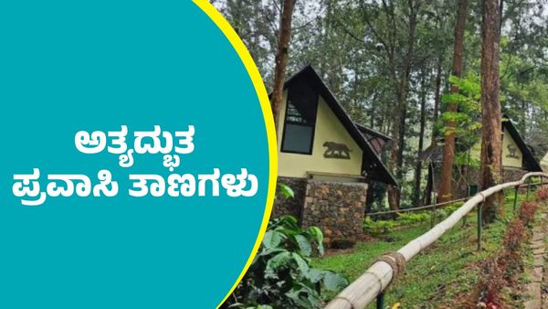 Chamarajanagar Travel Guide: ಚಾಮರಾಜನಗರ ಜಿಲ್ಲೆಯಲ್ಲಿರುವ ಅತ್ಯದ್ಭುತ ಪ್ರವಾಸಿ ತಾಣಗಳು