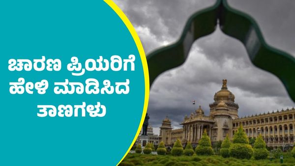 Travel Guide: ಬೆಂಗಳೂರು ಸಮೀಪದಲ್ಲಿವೆ ಚಾರಣ ಪ್ರಿಯರಿಗೆ ಹೇಳಿ ಮಾಡಿಸಿದ ತಾಣಗಳು