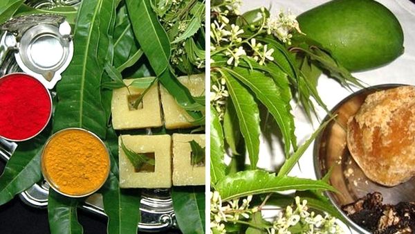 Ugadi Festival: ಯುಗಾದಿ ಹಬ್ಬಕ್ಕೆ ಸಾಂಪ್ರದಾಯಿಕವಾಗಿ ಬೇವು ಬೆಲ್ಲವನ್ನ ಈ ರೀತಿ ಮಾಡಿ