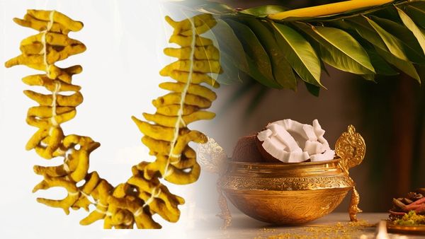Ugadi 2025: ಯುಗಾದಿ ಹಬ್ಬದ ದಿನ ಮನೆ ಬಾಗಿಲಿಗೆ ಈ ವಸ್ತು ಕಟ್ಟಿ: ಗುರು ಬಲ ಅದೃಷ್ಟ ಖಚಿತ