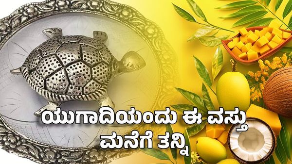 Ugadi Vastu Tips: ಯುಗಾದಿಯಂದು ಈ ಆರು ವಸ್ತು ಮನೆಗೆ ತಂದರೆ ಅದೃಷ್ಟ ನಿಮ್ಮೊಂದಿಗೆ