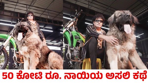 50 ಕೋಟಿ ರೂಪಾಯಿ ನಾಯಿ ಮಾಲೀಕನ ಅಸಲಿಯತ್ತು ಬಯಲು ಮಾಡಿದ ಇಡಿ ದಾಳಿ