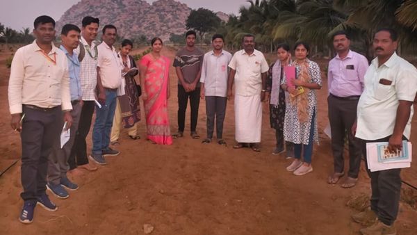 ಸಮಗ್ರ ತೋಟಗಾರಿಕೆ ಕೃಷಿಯಲ್ಲಿ ಯಶಸ್ಸು ಕಂಡ ಬಳ್ಳಾರಿಯ ರೈತ ಮಹಿಳೆ