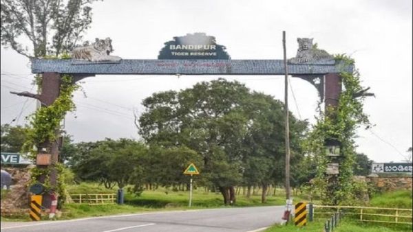 ಬಂಡೀಪುರದಲ್ಲಿ ರಾತ್ರಿ ಸಂಚಾರ ತೆರವು ವಿರೋಧಿಸಿ ಹೋರಾಟಕ್ಕೆ ಸಿದ್ಧತೆ!