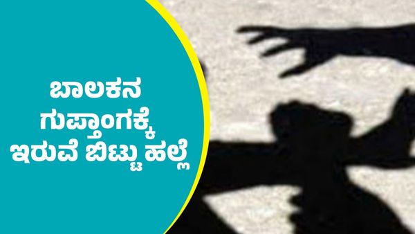 ದಾವಣಗೆರೆ: ಮರಕ್ಕೆ ಕಟ್ಟಿ ಬಾಲಕನ ಗುಪ್ತಾಂಗಕ್ಕೆ ಇರುವೆ ಬಿಟ್ಟು ಹಲ್ಲೆ; ಪ್ರಕರಣ ದಾಖಲು