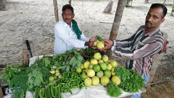 ರೈತರಿಗೆ ವರದಾನವಾಗುತ್ತಿರುವ ಶೂನ್ಯ ಬಂಡವಾಳದ ನೈಸರ್ಗಿಕ ಕೃಷಿ
