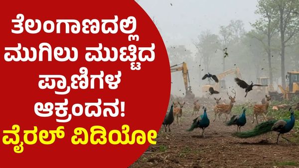400 ಎಕರೆ ಅರಣ್ಯ ಪ್ರದೇಶದಲ್ಲಿ ಕೈಗಾರಿಕೆ ಸ್ಥಾಪನೆಗೆ ಜೆಸಿಬಿ: ಪ್ರಾಣಿಗಳ ಆಕ್ರಂದನ, ವಿಡಿಯೋ ವೈರಲ್!