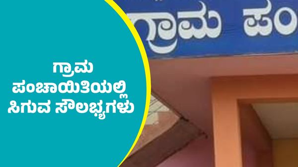 Gram Panchayat Service: ಗ್ರಾಮ ಪಂಚಾಯಿತಿಯಲ್ಲಿ ಸಿಗುವ ಸೌಲಭ್ಯಗಳು