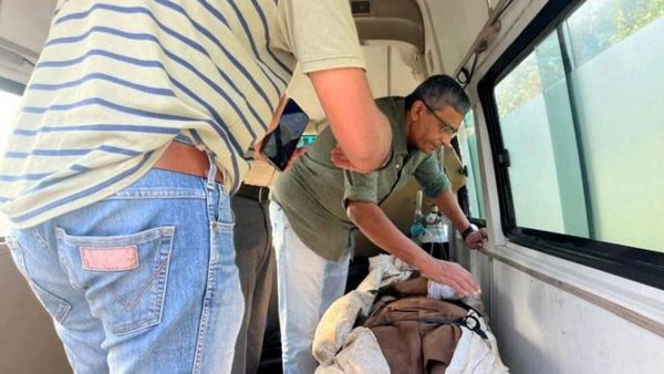 ಕೊಡಗಿನಲ್ಲಿ ವನ್ಯಪ್ರಾಣಿ- ಮಾನವ ಸಂಘರ್ಷಕ್ಕೆ ಮುಕ್ತಿ ಯಾವಾಗ?