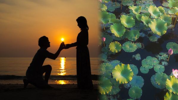 ಪ್ರೇಯಸಿಗೆ ಈ ಹೂವು ಕೊಟ್ಟರೆ ನಿಮ್ಮ ಲವ್ ಸಕ್ಸಸ್