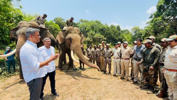 ಕೊಡಗು: ಜನರ ನಿದ್ದೆಗೆಡಿಸಿರುವ ಹುಲಿ ಹಿಡಿಯುವ ಕಾರ್ಯಾಚರಣೆ ಆರಂಭ