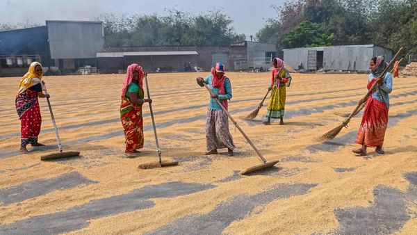 ಕೊಪ್ಪಳ: ಕನಿಷ್ಠ ಬೆಂಬಲ ಬೆಲೆ ಯೋಜನೆ, ಭತ್ತ ಖರೀದಿ ಕೇಂದ್ರ ಆರಂಭ