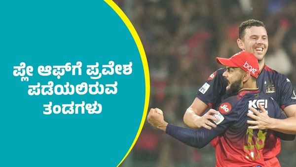 IPL 2025 Playoffs: ಈ ಬಾರಿ ಐಪಿಎಲ್‌ನಲ್ಲಿ ಪ್ಲೇ ಆಫ್‌ ಪ್ರವೇಶಿಸುವ ತಂಡಗಳು