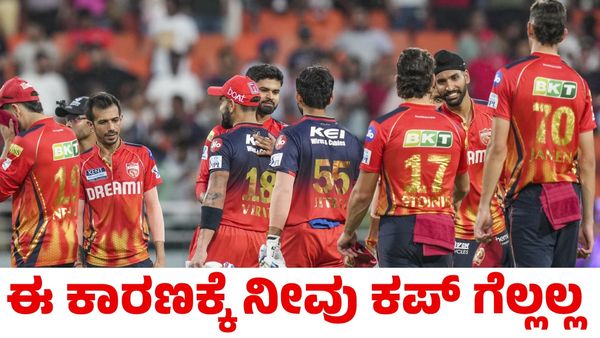 IPL 2025: ಈ ಕಾರಣಕ್ಕೆ ಪಂಜಾಬ್ ಕಿಂಗ್ಸ್ ಕಪ್ ಗೆಲ್ಲಲ್ಲ ಎಂದ ಮಾಜಿ ಕ್ರಿಕೆಟಿಗ