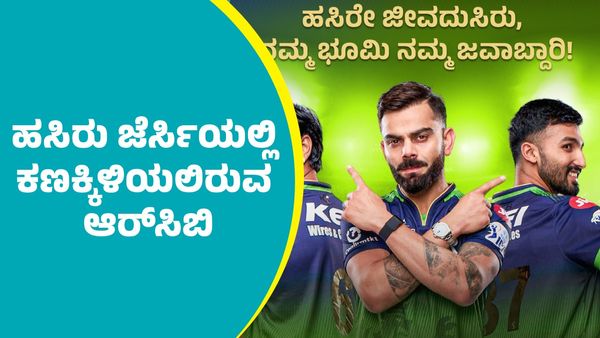 RCB Vs RR: ಪಿಂಕ್ ಸಿಟಿಯಲ್ಲಿ ಗ್ರೀನ್‌ ಜೆರ್ಸಿ ಹವಾ; ಆರ್‌ಆರ್ ವಿರುದ್ಧ ಗೆಲುವಿಗೆ ಆರ್‌ಸಿಬಿ ಭರ್ಜರಿ ಸಿದ್ಧತೆ