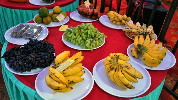 ಶಿವಮೊಗ್ಗದಲ್ಲಿ 3 ದಿನದ ಹಣ್ಣು ಮತ್ತು ಆಹಾರ ಮೇಳ, ವಿವರಗಳು