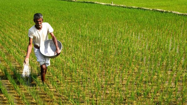ರಸಗೊಬ್ಬರಕ್ಕೆ ಸಬ್ಸಿಡಿ: ರೈತರಿಗೆ ಬಂಪರ್ ಕೊಡುಗೆ ನೀಡಿದ ಕೇಂದ್ರ ಸರ್ಕಾರ