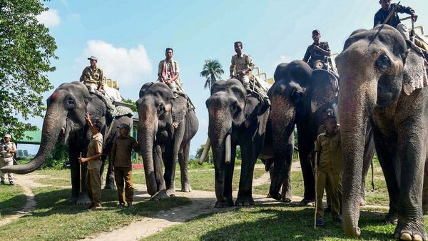 ವಿಧಾನಸೌಧದ ಮುಂದೆ ಆಂಧ್ರ ಪ್ರದೇಶಕ್ಕೆ 6 ಆನೆಗಳ ಹಸ್ತಾಂತರ