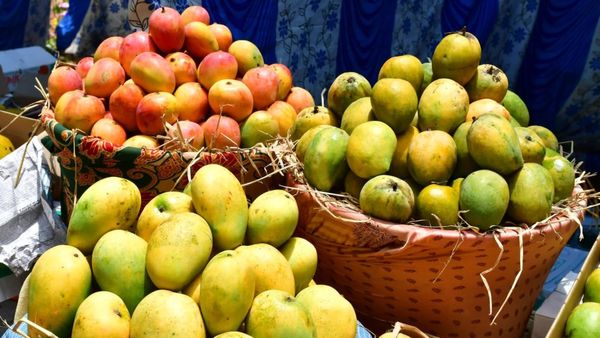 ರೈತರಿಗೆ ಸಿಹಿಸುದ್ದಿ ಕೊಪ್ಪಳ ಮಾವು ಮೇಳದ ಅವಧಿ ವಿಸ್ತರಣೆ