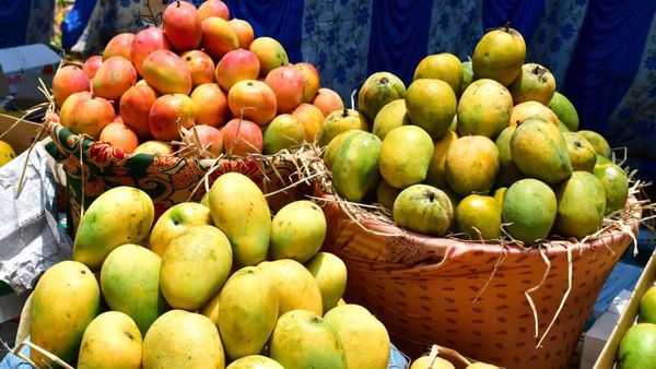 ಧಾರವಾಡ: 5 ದಿನಗಳ ಮಾವು ಮೇಳ, ವಿಶೇಷತೆಗಳು