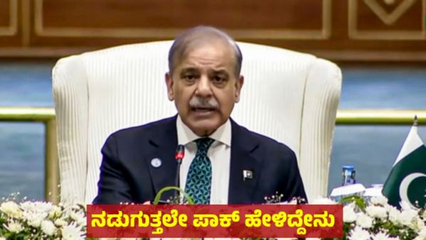 ಘರ್ಜಿಸಿದ ಭಾರತ: ಪಾಕ್‌ ಜನ ಗೂಗಲ್‌ನಲ್ಲಿ ತಡಕಾಡಿದರು ಆ ಒಂದು ಪದ!
