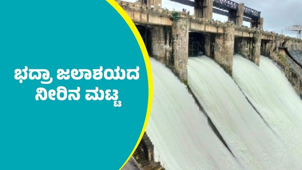 Bhadra Dam: ಜೂನ್‌ 15ರಂದು ಭದ್ರಾ ಜಲಾಶಯದ ನೀರಿನ ಮಟ್ಟ ಎಷ್ಟಿದೆ ತಿಳಿಯಿರಿ
