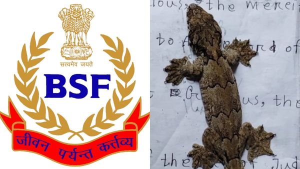 Tokay gecko: ಅಳಿವಿನಂಚಿನಲ್ಲಿರುವ ಟೋಕೇ ಗೆಕ್ಕೊ ಹಲ್ಲಿ ರಕ್ಷಿಸಿದ BSF ಸಿಬ್ಬಂದಿ