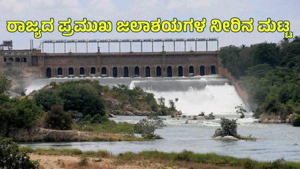 Karnataka Dam Water Level: ಕರ್ನಾಟಕದ 14 ಜಲಾಶಯಗಳ ನೀರಿನ ಮಟ್ಟ ಎಷ್ಟು?
