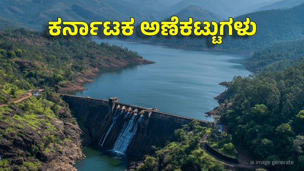Karnataka Dam Water Level Today: ಉತ್ತಮ ಮುಂಗಾರು, ವಿವಿಧ ಜಲಾಶಯಗಳ ಒಳಹರಿವು ಭಾರೀ ಹೆಚ್ಚಳ