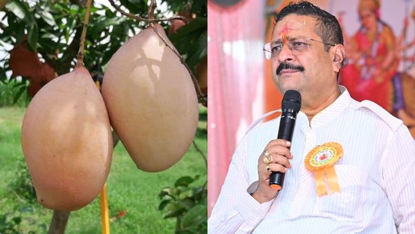 ಆಂಧ್ರದಲ್ಲಿ ಕರ್ನಾಟಕದ ಮಾವು ನಿಷೇಧ: ಮಹತ್ವದ ಸಲಹೆ ಕೊಟ್ಟ ಶಾಸಕ ಯತ್ನಾಳ್‌