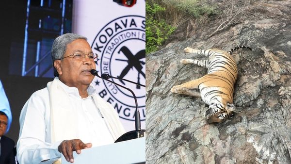 Siddaramaiah: ವಿಷಪ್ರಾಶನದಿಂದ ಒಂದೇ ಸ್ಥಳದಲ್ಲಿ ಹುಲಿಗಳು ಸಾವು: ಸಿದ್ದರಾಮಯ್ಯ ಫಸ್ಟ್‌ ರಿಯಾಕ್ಷನ್‌