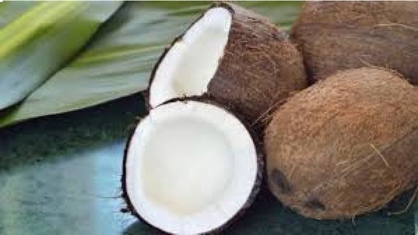 Coconut Price Hike: ತೆಂಗಿನಕಾಯಿ & ಕೊಬ್ಬರಿಗೆ ಬಂತು ಬಂಗಾರದ ಬೆಲೆ, ಪ್ರತಿ ಕ್ವಿಂಟಲ್‌ಗೆ ಎಷ್ಟಿದೆ ?